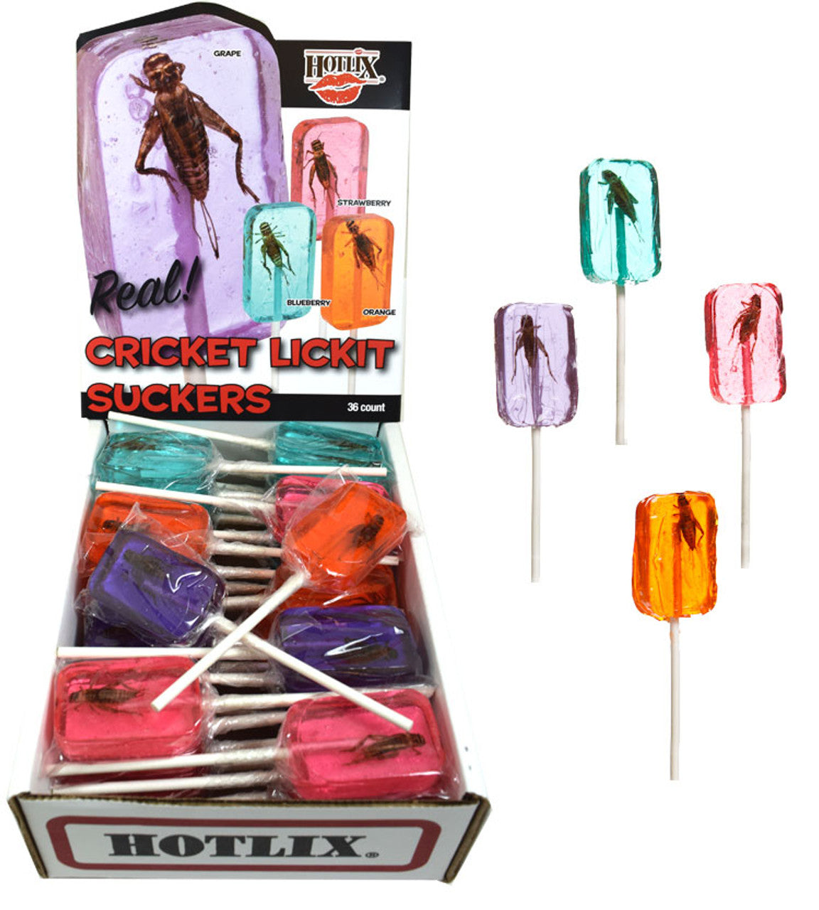 HOTLIX REAL CRICKET LICKER SUCKER LOLLIPOP