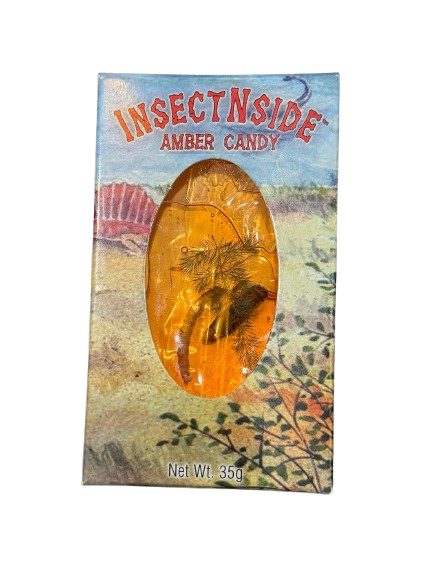 Amber InsectNside Candy