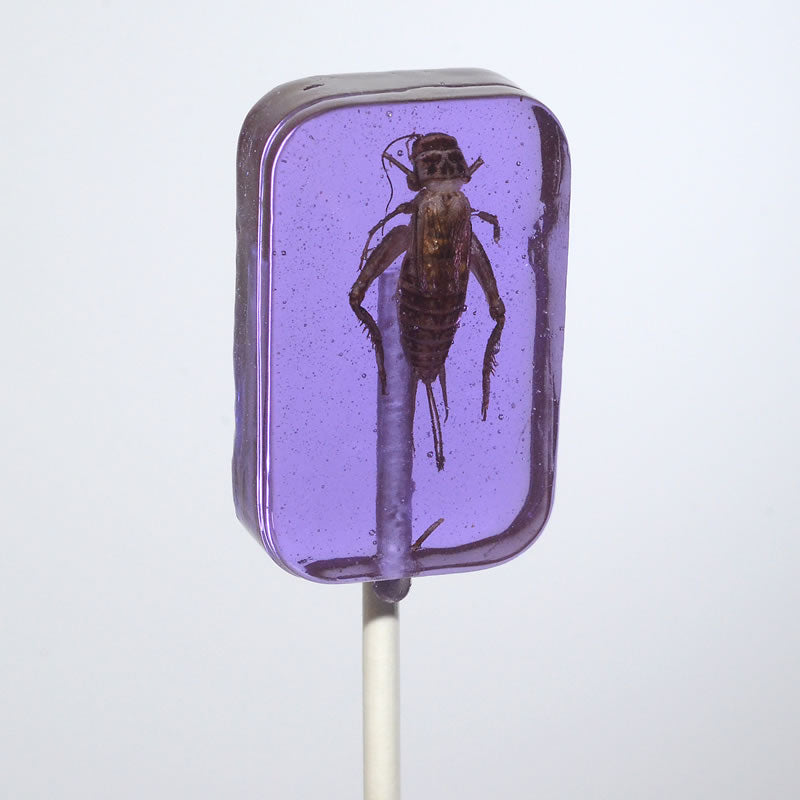 HOTLIX REAL CRICKET LICKER SUCKER LOLLIPOP
